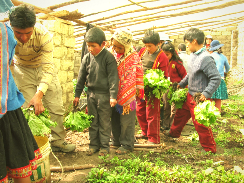 andean alliance for sustainable dev